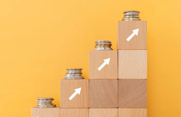 定期昇給、ストック・オプション